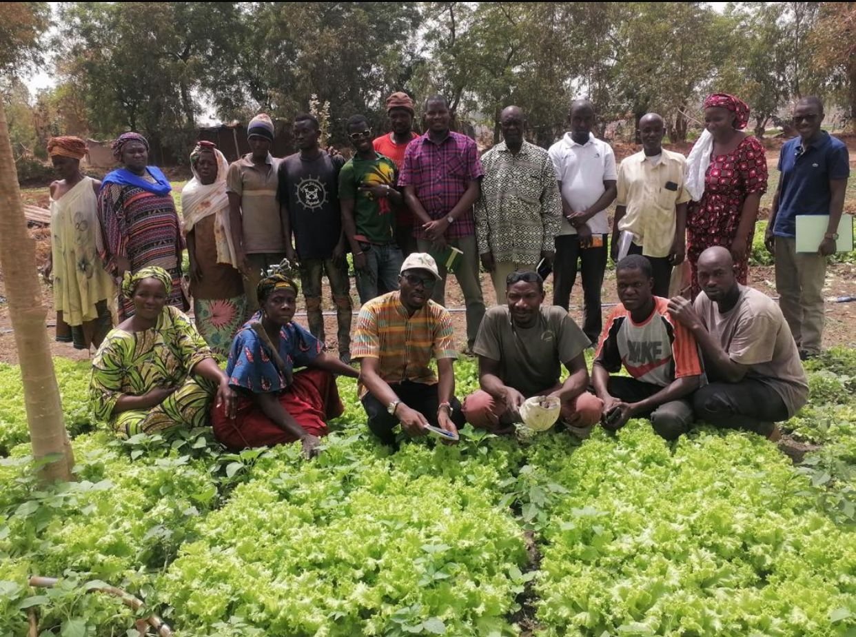 Avantages du réseau pour les producteurs